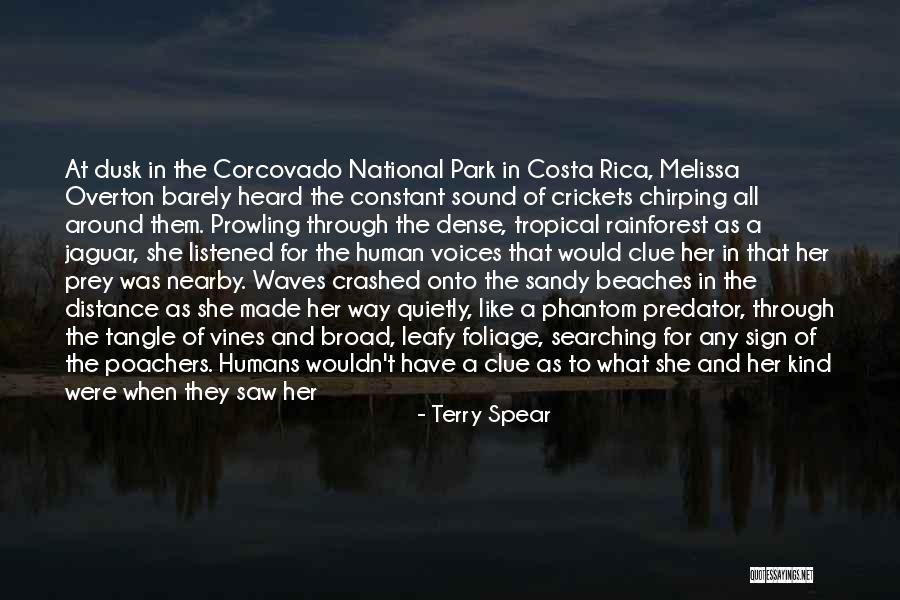 Tropical Beaches Quotes By Terry Spear Tropical Beaches Quotes By Terry Spear