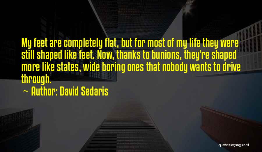 Troposphere Quotes By David Sedaris