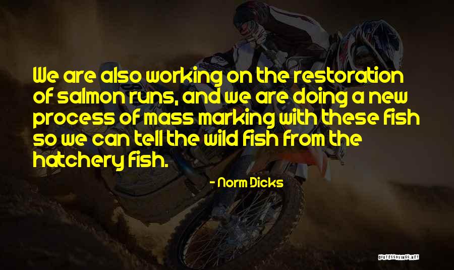 Trotter Shoes Quotes By Norm Dicks Trotter Shoes Quotes By Norm Dicks