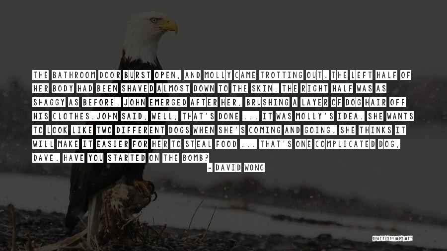 Trotting Quotes By David Wong Trotting Quotes By David Wong