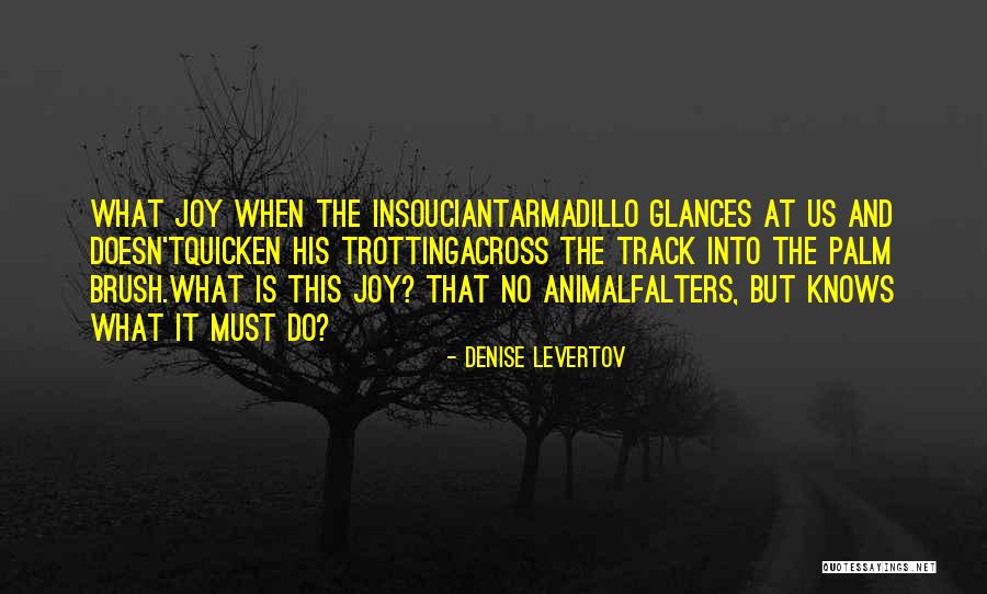 Trotting Quotes By Denise Levertov Trotting Quotes By Denise Levertov