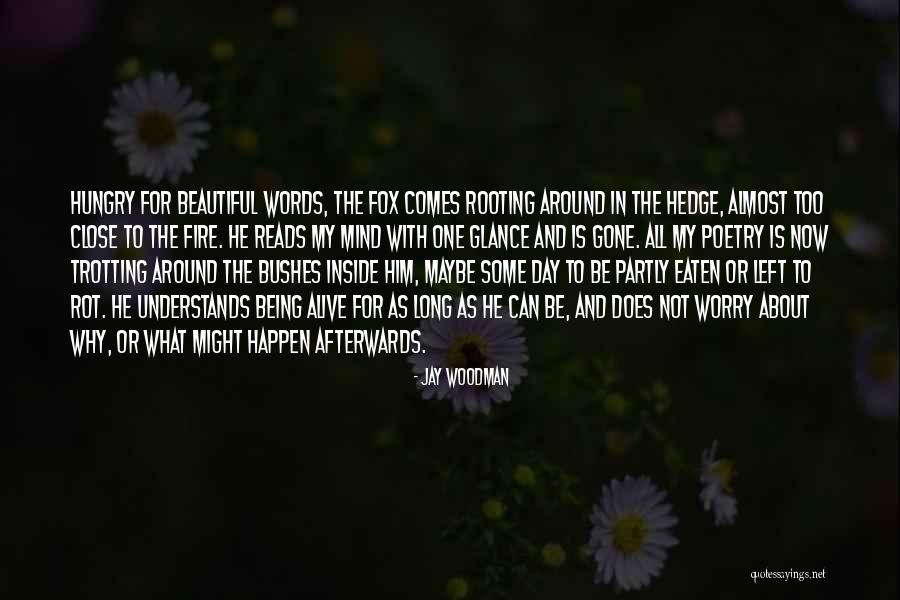 Trotting Quotes By Jay Woodman Trotting Quotes By Jay Woodman
