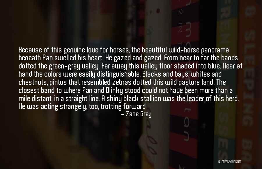 Trotting Quotes By Zane Grey Trotting Quotes By Zane Grey