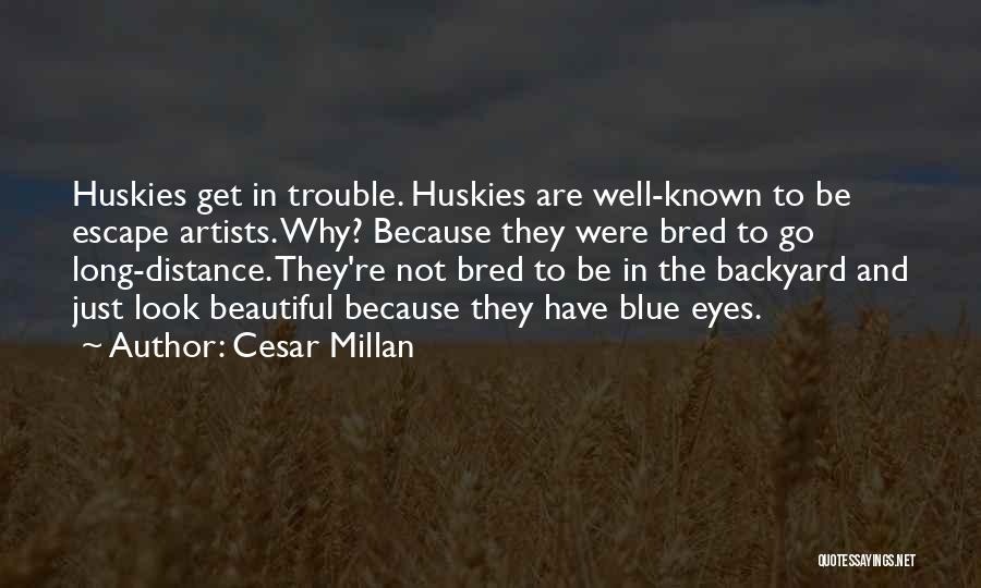 Trouble Quotes By Cesar Millan