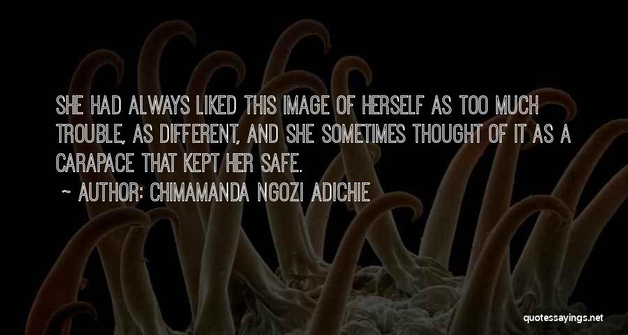 Trouble Quotes By Chimamanda Ngozi Adichie