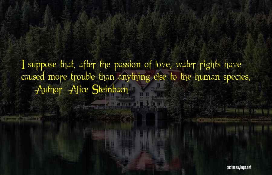 Trouble The Water Quotes By Alice Steinbach