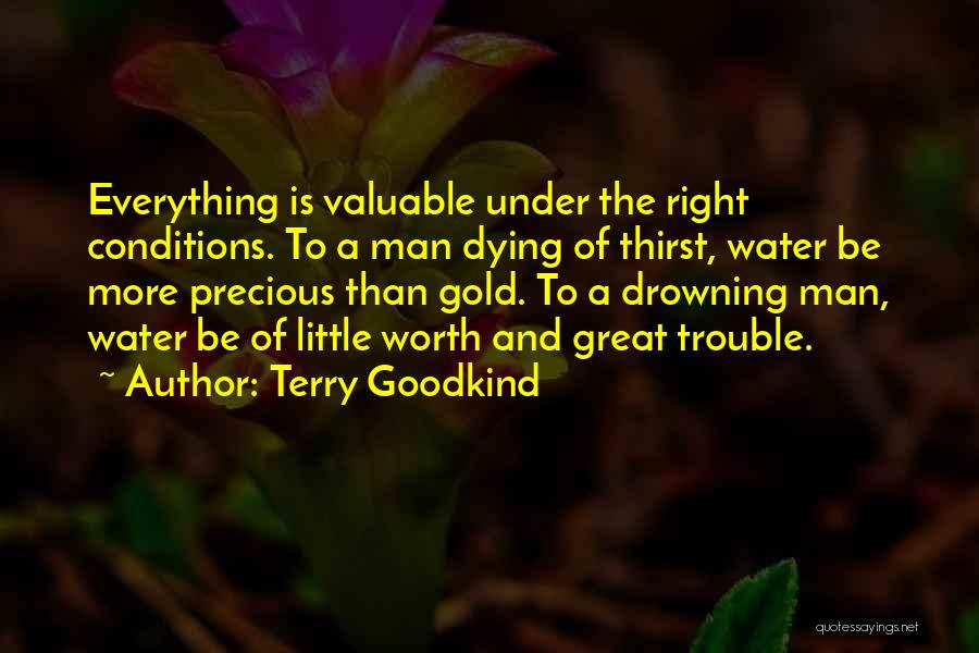 Trouble The Water Quotes By Terry Goodkind