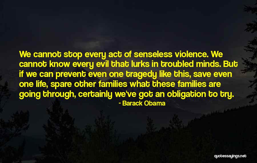 Troubled Families Quotes By Barack Obama