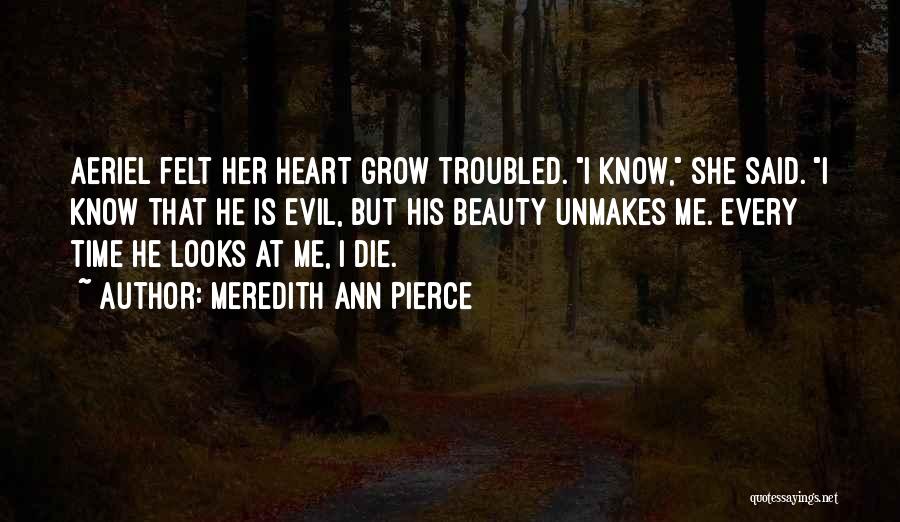Troubled Heart Quotes By Meredith Ann Pierce