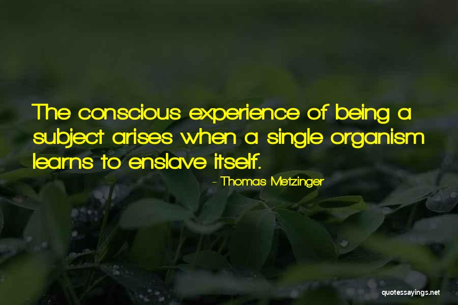 Troubled Teen Quotes By Thomas Metzinger Troubled Teen Quotes By Thomas Metzinger