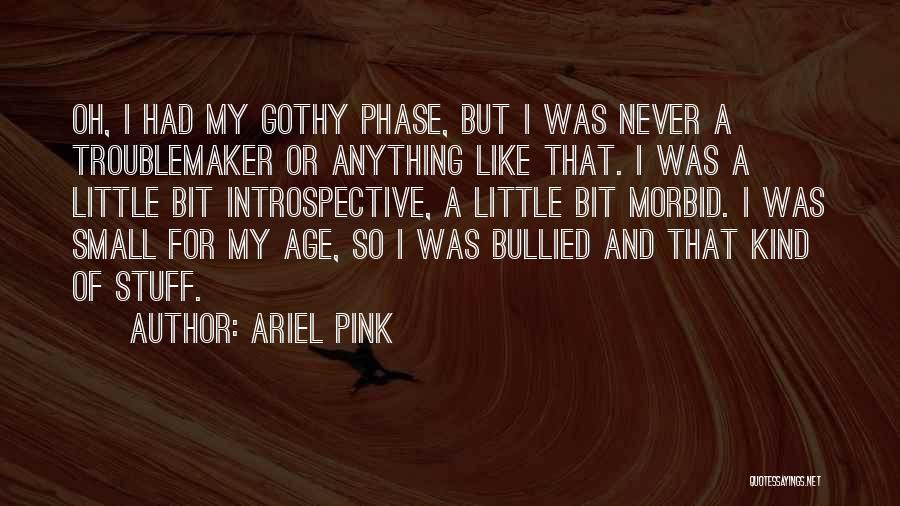 Troublemaker Quotes By Ariel Pink
