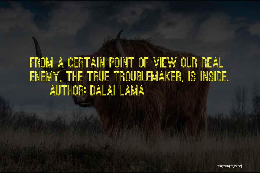 Troublemaker Quotes By Dalai Lama
