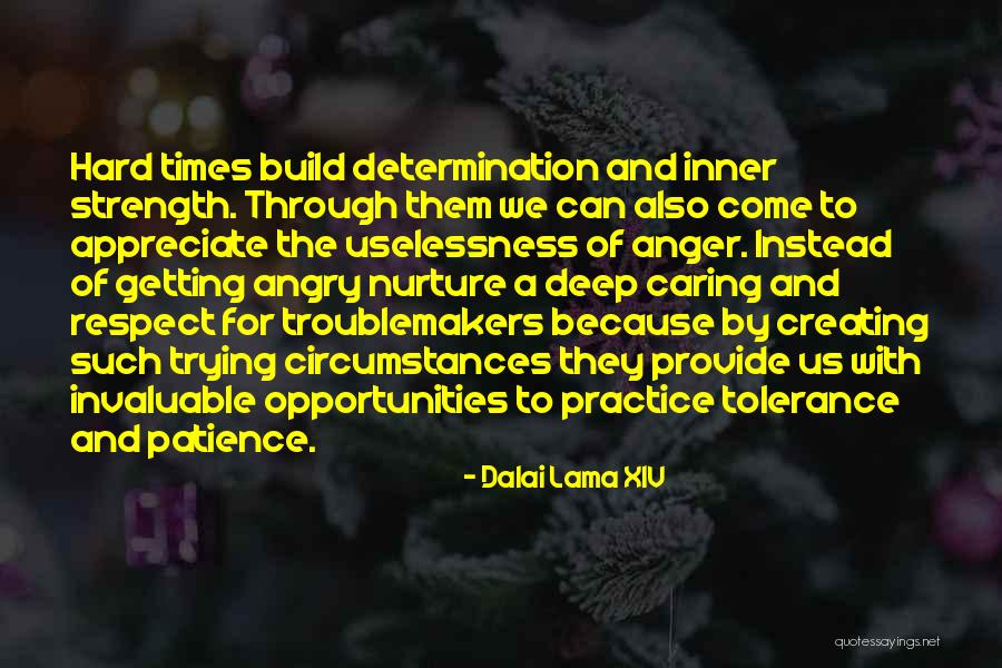 Troublemakers Quotes By Dalai Lama XIV Troublemakers Quotes By Dalai Lama XIV