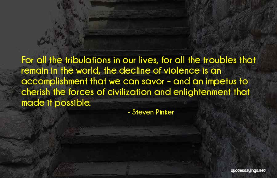 Troubles And Tribulations Quotes By Steven Pinker