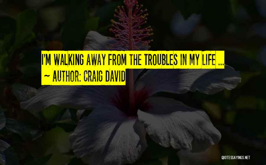 Troubles In Life Quotes By Craig David