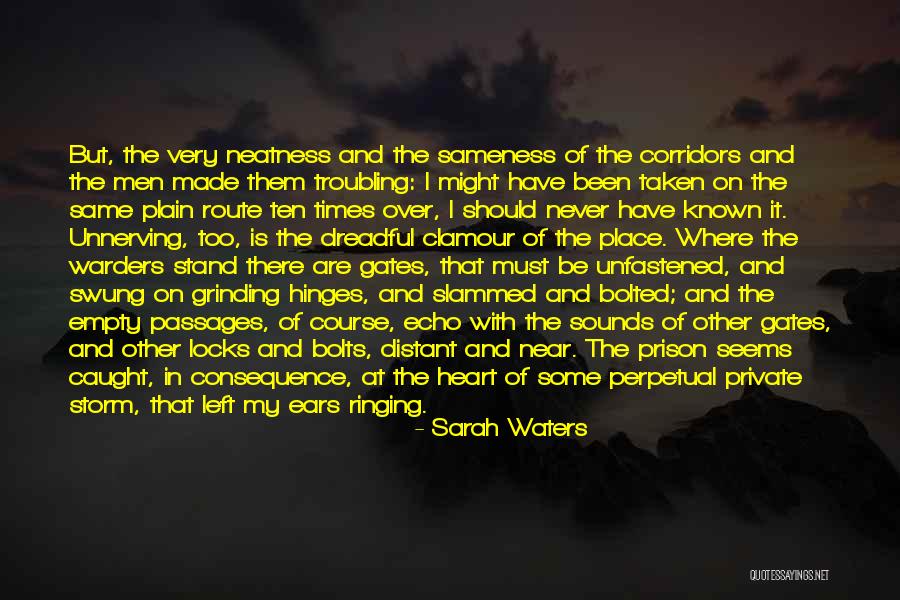 Troubling Times Quotes By Sarah Waters