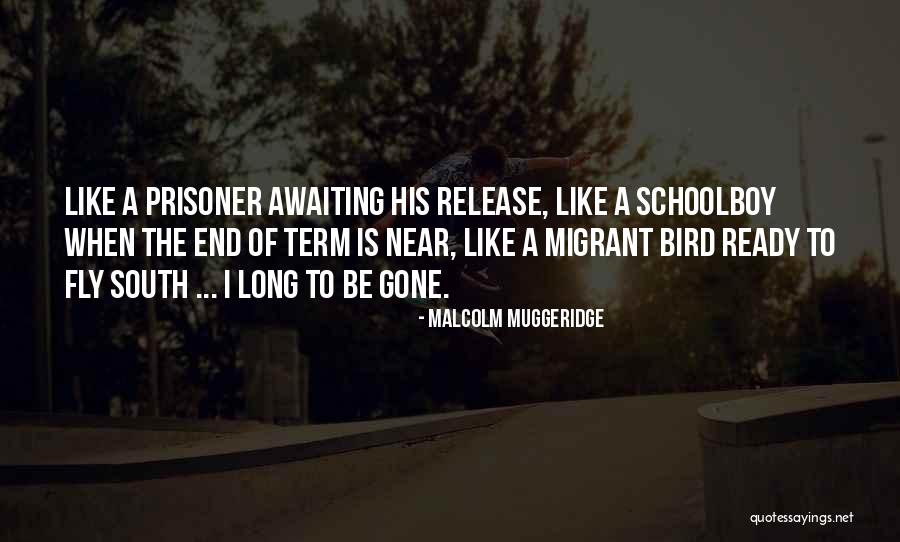 Trousseaus Syndrome Quotes By Malcolm Muggeridge Trousseaus Syndrome Quotes By Malcolm Muggeridge