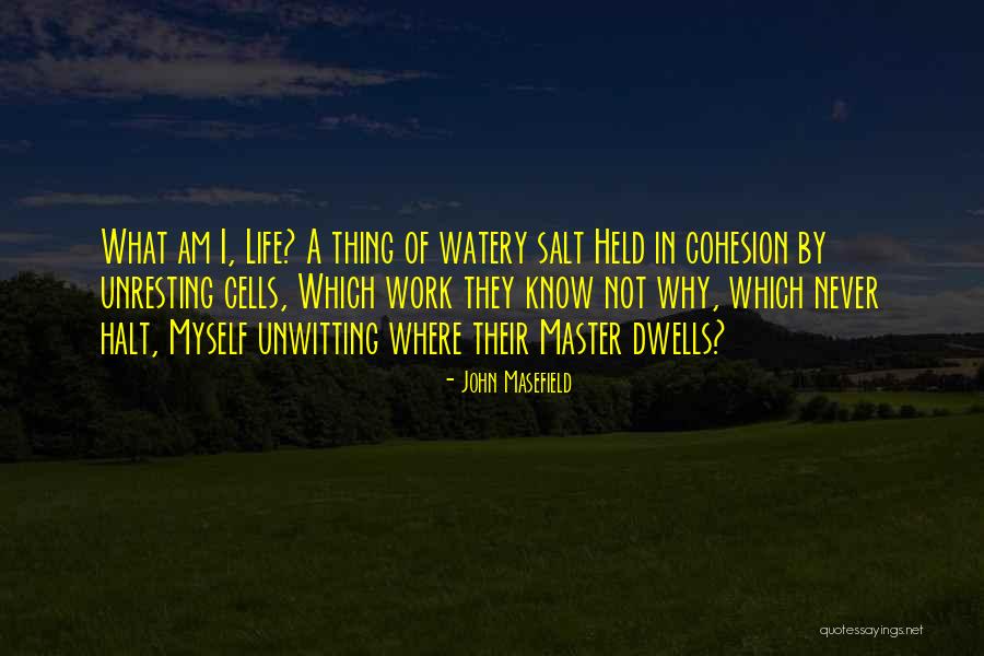 Trouthammer Quotes By John Masefield Trouthammer Quotes By John Masefield