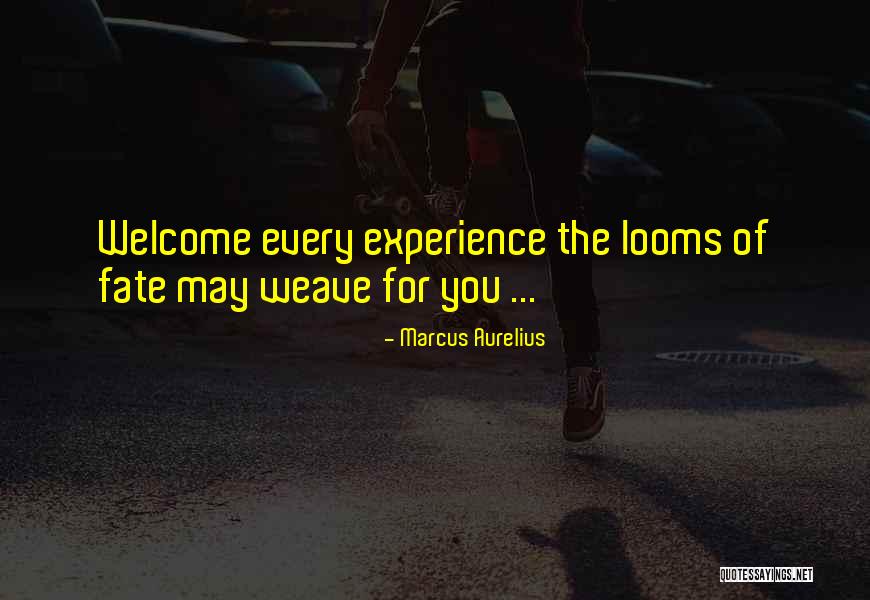 Trouting Out Quotes By Marcus Aurelius Trouting Out Quotes By Marcus Aurelius
