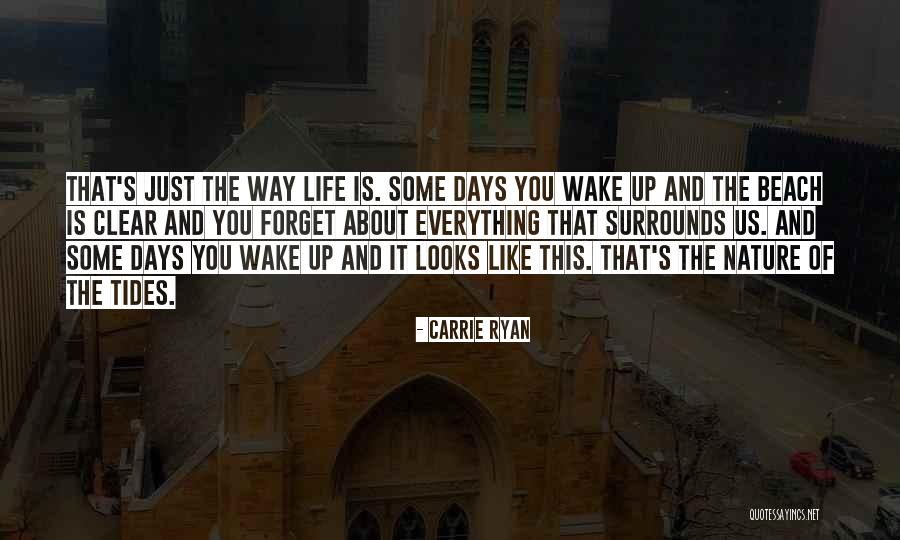 Trouxe Sinonimo Quotes By Carrie Ryan Trouxe Sinonimo Quotes By Carrie Ryan