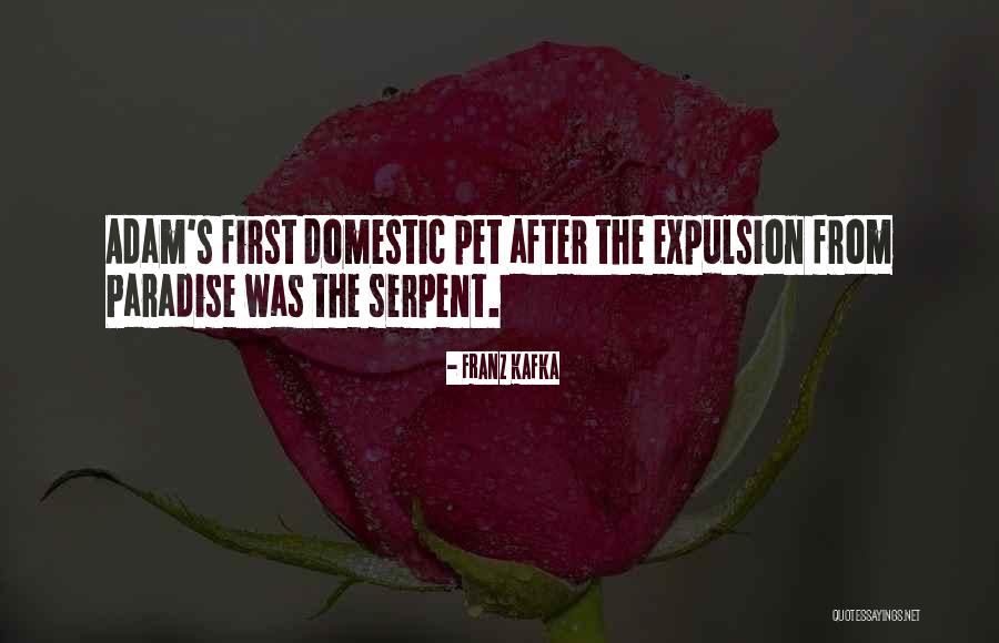 Trowell House Quotes By Franz Kafka Trowell House Quotes By Franz Kafka