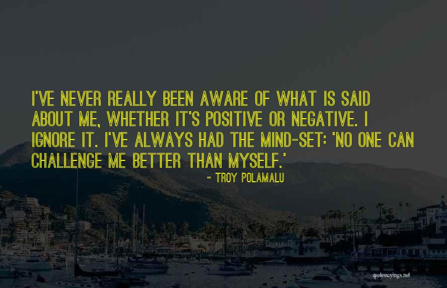 Troy Polamalu Quotes 1021375 Troy Polamalu Quotes 1021375