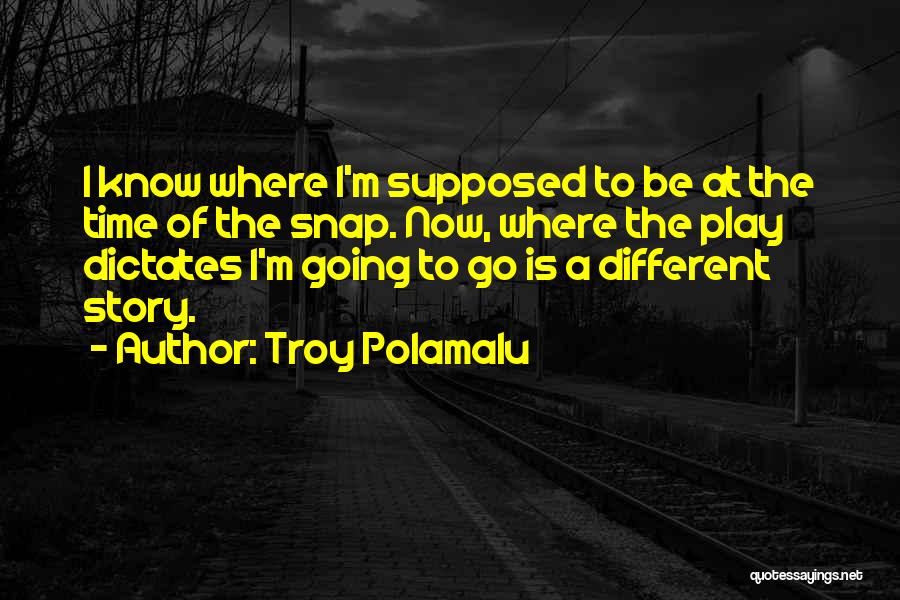 Troy Polamalu Quotes 1048773