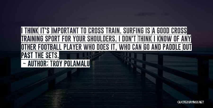 Troy Polamalu Quotes 1077068