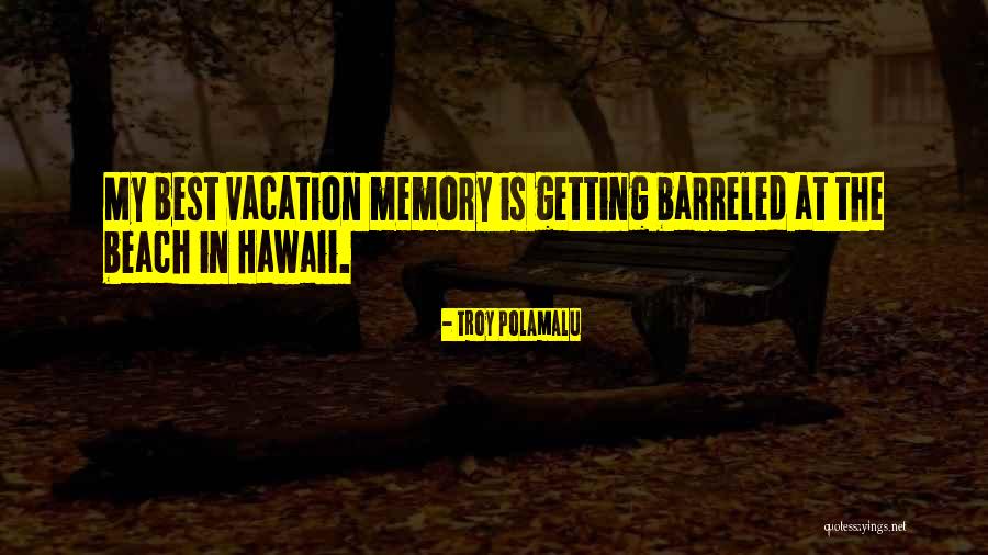 Troy Polamalu Quotes 111987 Troy Polamalu Quotes 111987