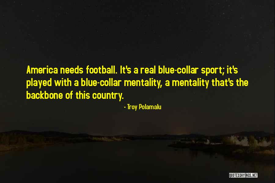 Troy Polamalu Quotes 1378801 Troy Polamalu Quotes 1378801