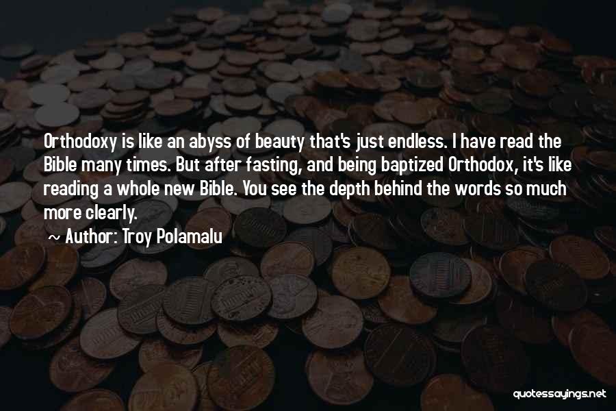 Troy Polamalu Quotes 1433102