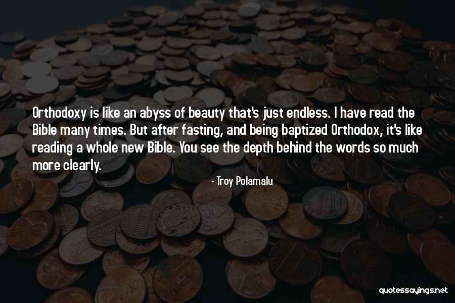 Troy Polamalu Quotes 1433102 Troy Polamalu Quotes 1433102