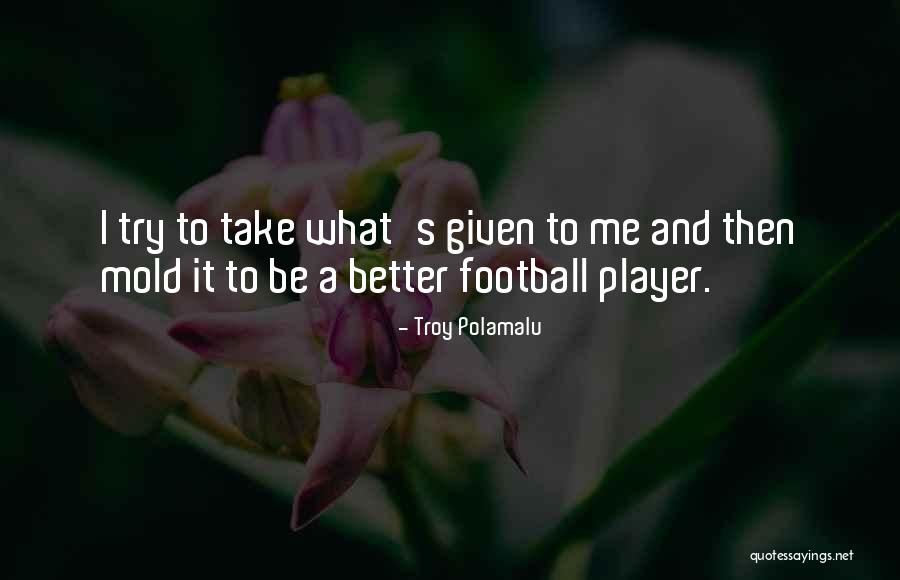 Troy Polamalu Quotes 1762882 Troy Polamalu Quotes 1762882