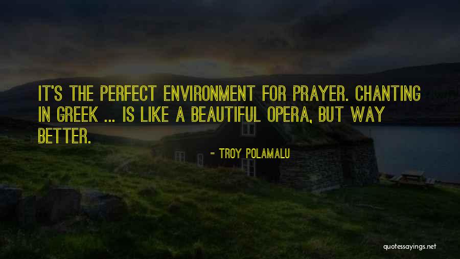 Troy Polamalu Quotes 1804991 Troy Polamalu Quotes 1804991