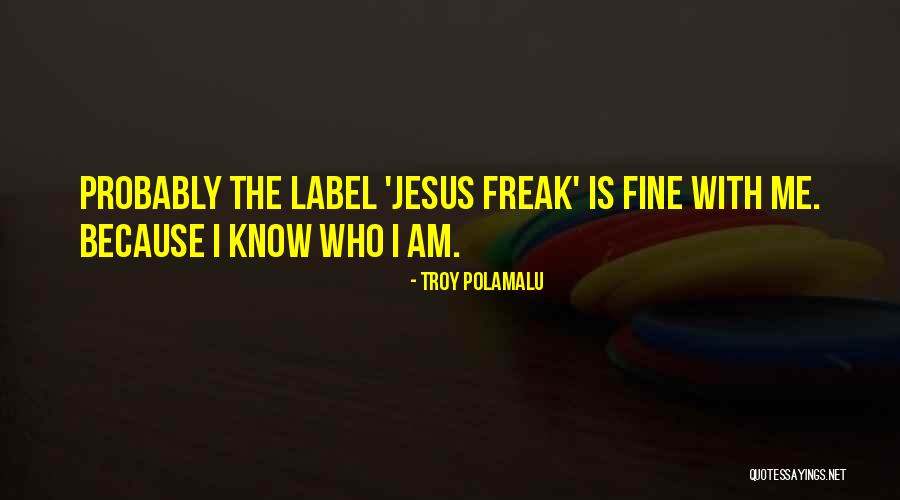Troy Polamalu Quotes 1836291 Troy Polamalu Quotes 1836291