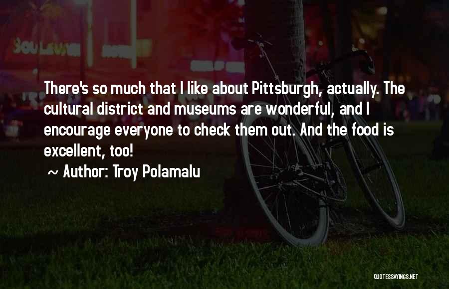 Troy Polamalu Quotes 1870170