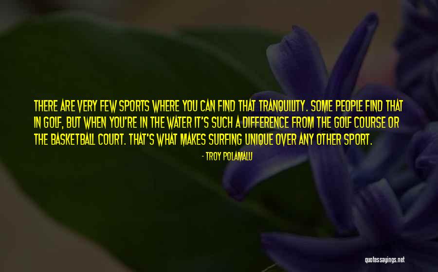Troy Polamalu Quotes 2064625 Troy Polamalu Quotes 2064625