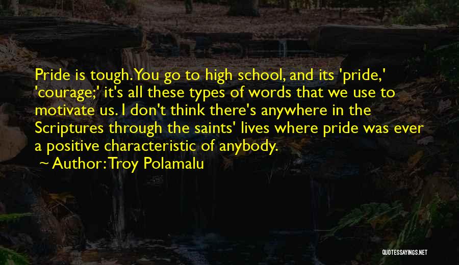 Troy Polamalu Quotes 2157419