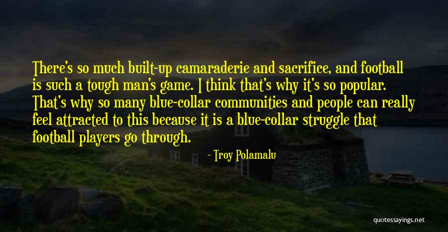 Troy Polamalu Quotes 574595 Troy Polamalu Quotes 574595