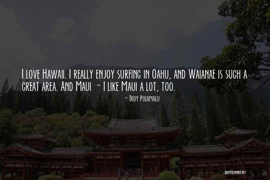 Troy Polamalu Quotes 884444 Troy Polamalu Quotes 884444