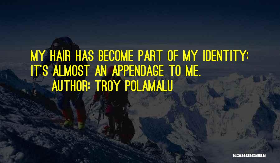 Troy Polamalu Quotes 893961