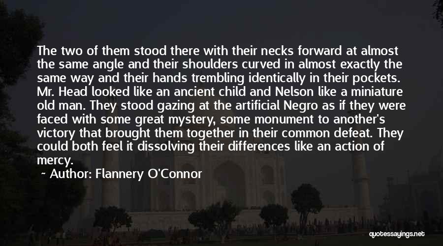 Troyan21 Quotes By Flannery O'Connor