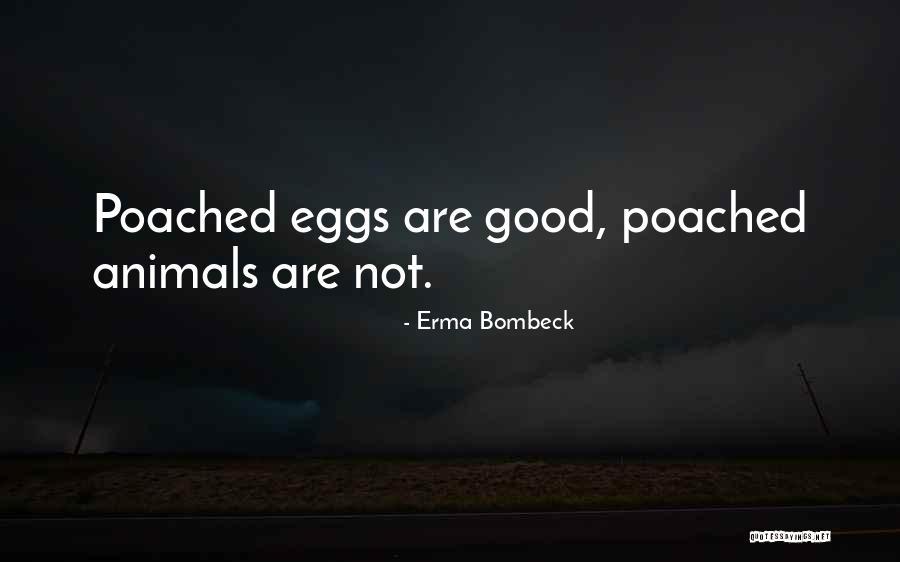 Troye Sivan Lyric Quotes By Erma Bombeck Troye Sivan Lyric Quotes By Erma Bombeck