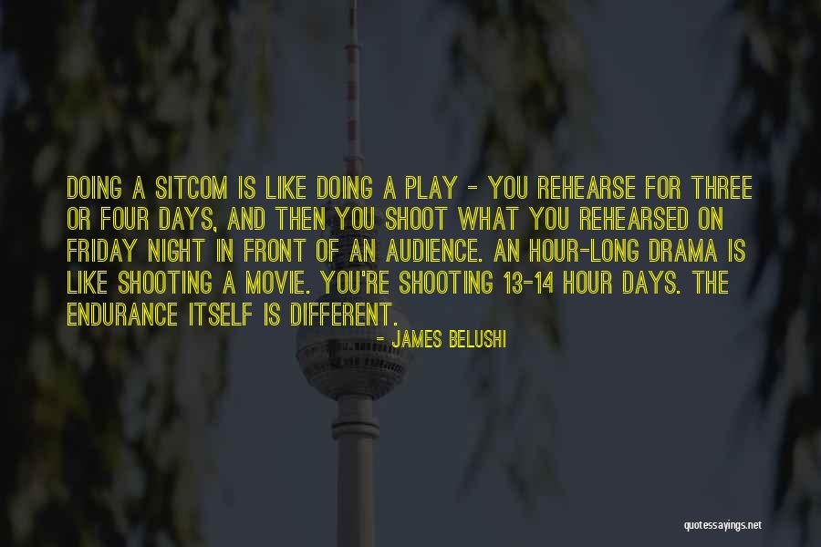 Trozos De Pavita Quotes By James Belushi Trozos De Pavita Quotes By James Belushi