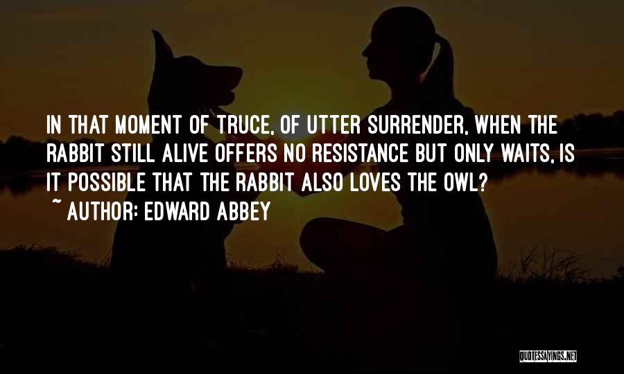 Truce Quotes By Edward Abbey