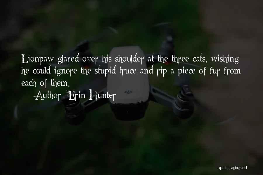 Truce Quotes By Erin Hunter