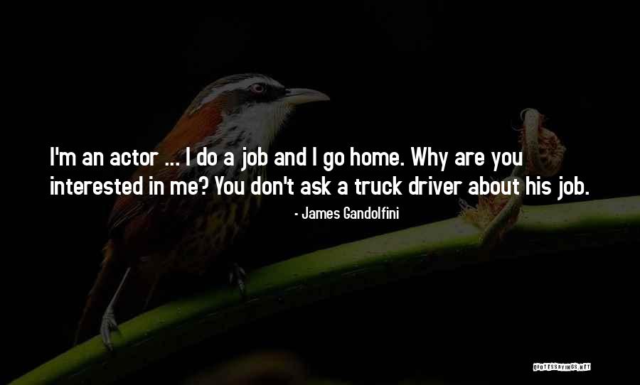 Truck Driver Quotes By James Gandolfini