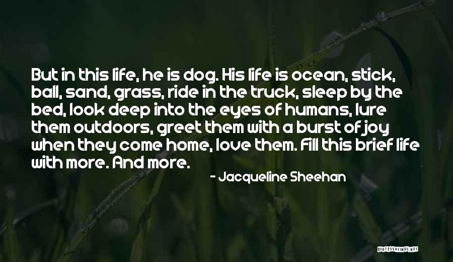 Truck Life Quotes By Jacqueline Sheehan Truck Life Quotes By Jacqueline Sheehan