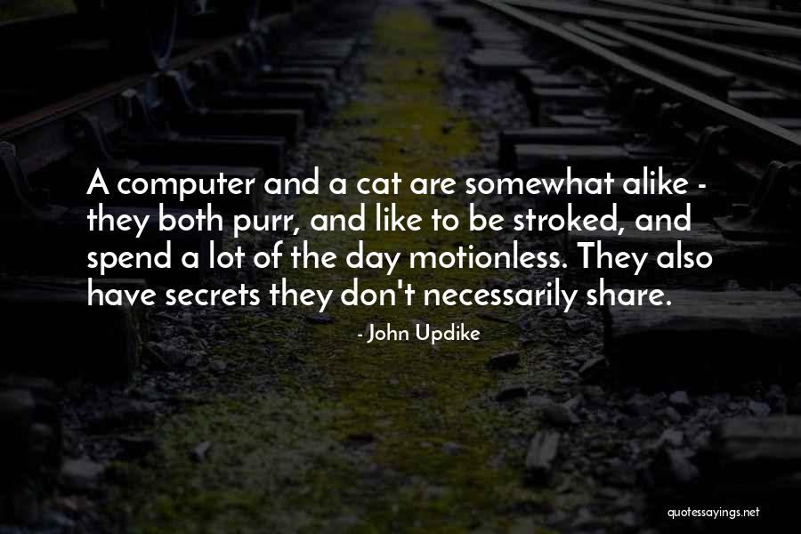 Trucked By Ray Quotes By John Updike Trucked By Ray Quotes By John Updike