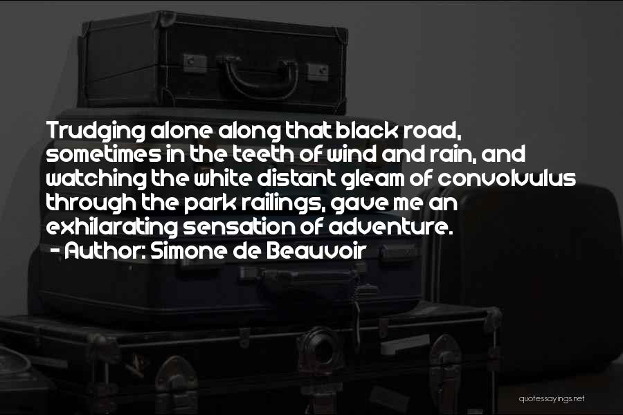 Trudging Along Quotes By Simone De Beauvoir